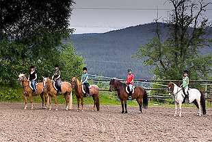 Reitmöglichkeit - Urlaub im Feriendorf Am Hohen Bogen